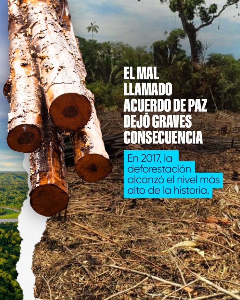 WhatsApp Image 2025-10-14 at 11.12.04 AM (1)